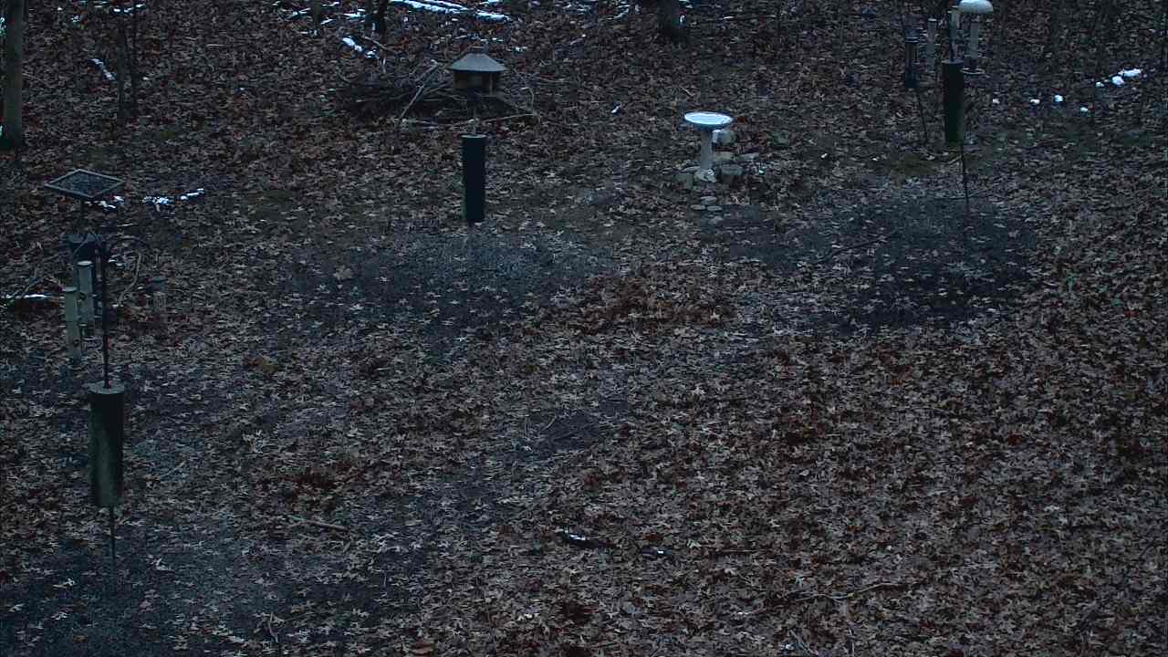 Thumbnail for current weather camera view from Cincinnati Nature Center in Batavia, Ohio