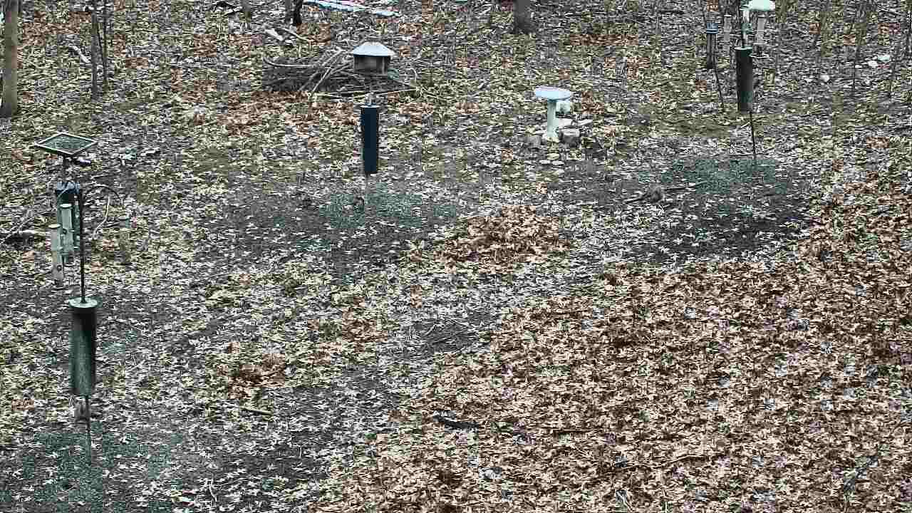 Thumbnail for current weather camera view from Cincinnati Nature Center in Batavia, Ohio