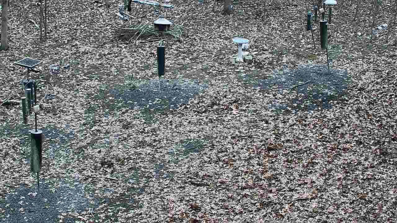 Thumbnail for current weather camera view from Cincinnati Nature Center in Batavia, Ohio