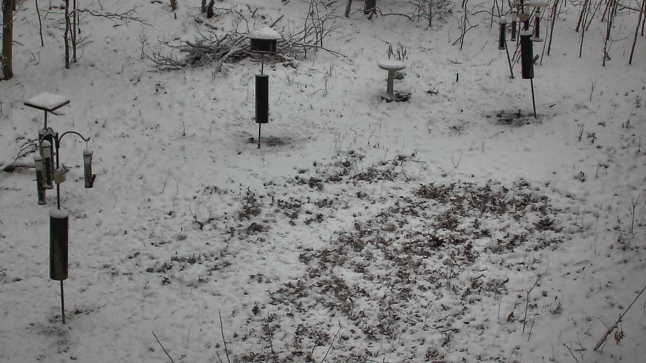 Thumbnail for current weather camera view from Cincinnati Nature Center in Batavia, Ohio