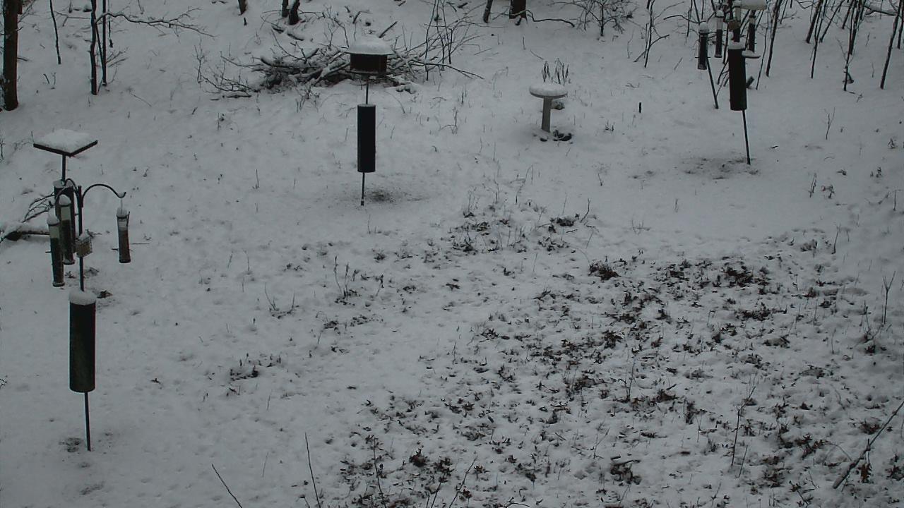 Thumbnail for current weather camera view from Cincinnati Nature Center in Batavia, Ohio