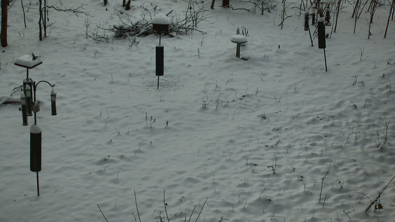 Thumbnail for current weather camera view from Cincinnati Nature Center in Batavia, Ohio