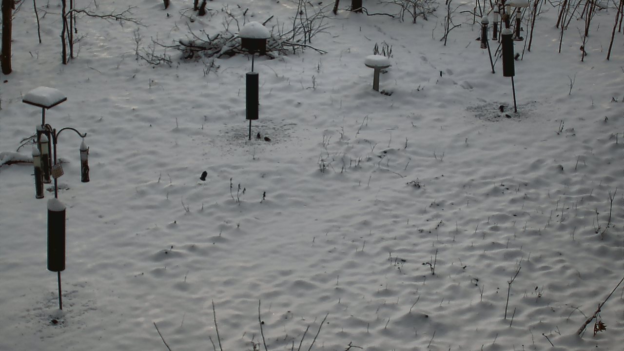 Thumbnail for current weather camera view from Cincinnati Nature Center in Batavia, Ohio