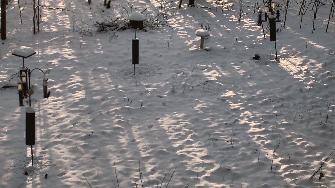 Thumbnail for current weather camera view from Cincinnati Nature Center in Batavia, Ohio