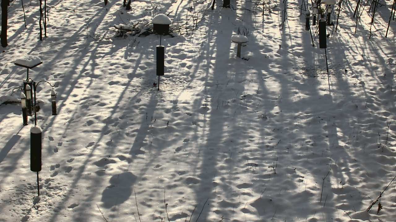 Thumbnail for current weather camera view from Cincinnati Nature Center in Batavia, Ohio