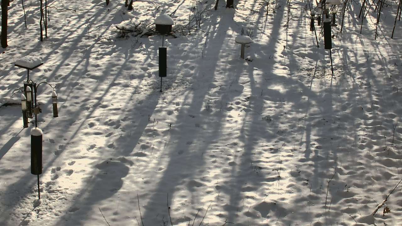 Thumbnail for current weather camera view from Cincinnati Nature Center in Batavia, Ohio