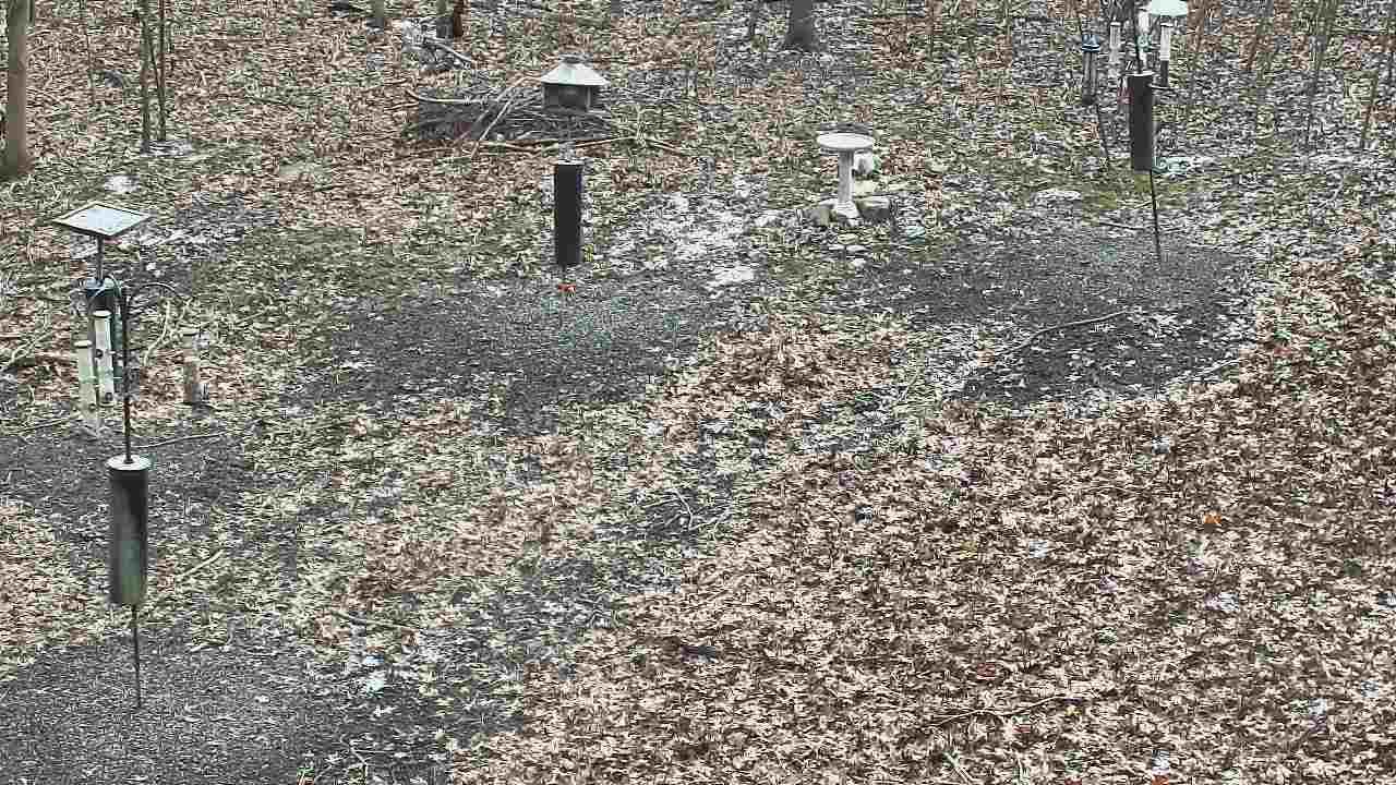 Thumbnail for current weather camera view from Cincinnati Nature Center in Batavia, Ohio