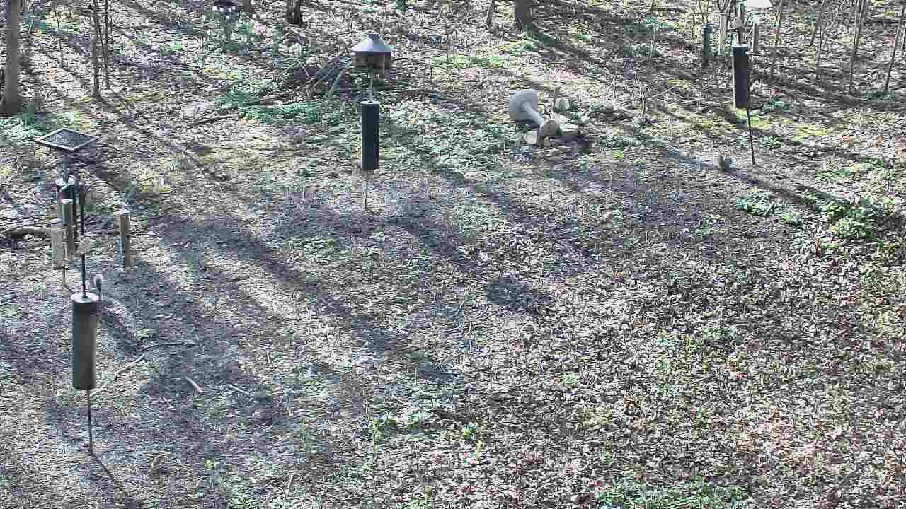 Thumbnail for current weather camera view from Cincinnati Nature Center in Batavia, Ohio