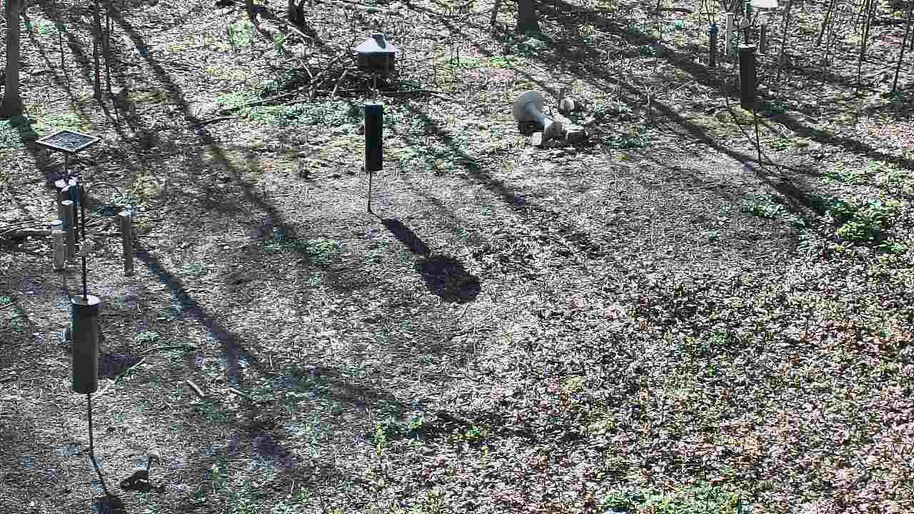 Thumbnail for current weather camera view from Cincinnati Nature Center in Batavia, Ohio