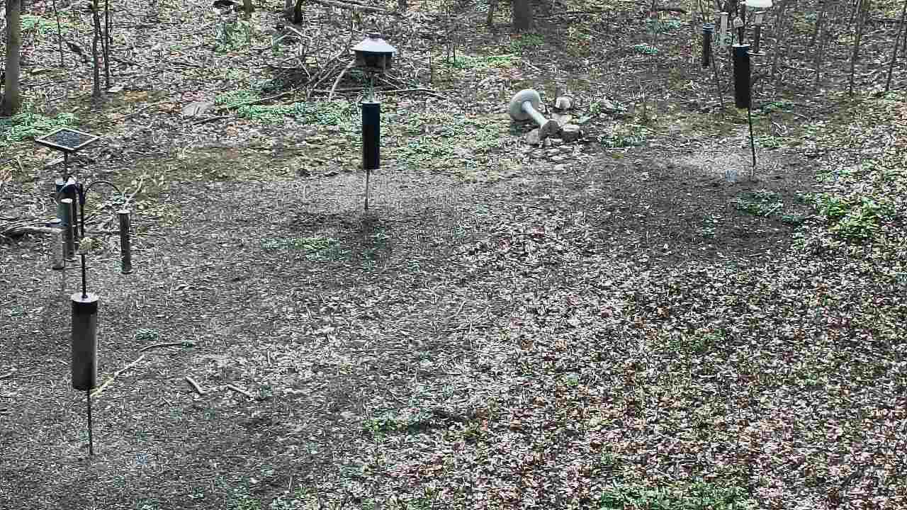 Thumbnail for current weather camera view from Cincinnati Nature Center in Batavia, Ohio