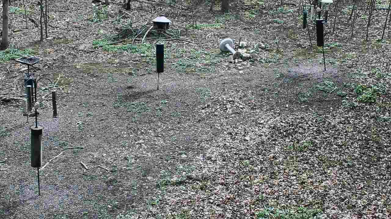 Thumbnail for current weather camera view from Cincinnati Nature Center in Batavia, Ohio