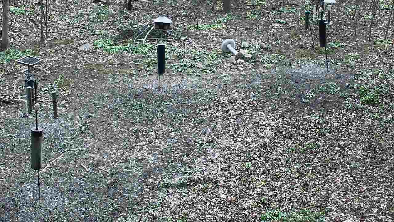 Thumbnail for current weather camera view from Cincinnati Nature Center in Batavia, Ohio