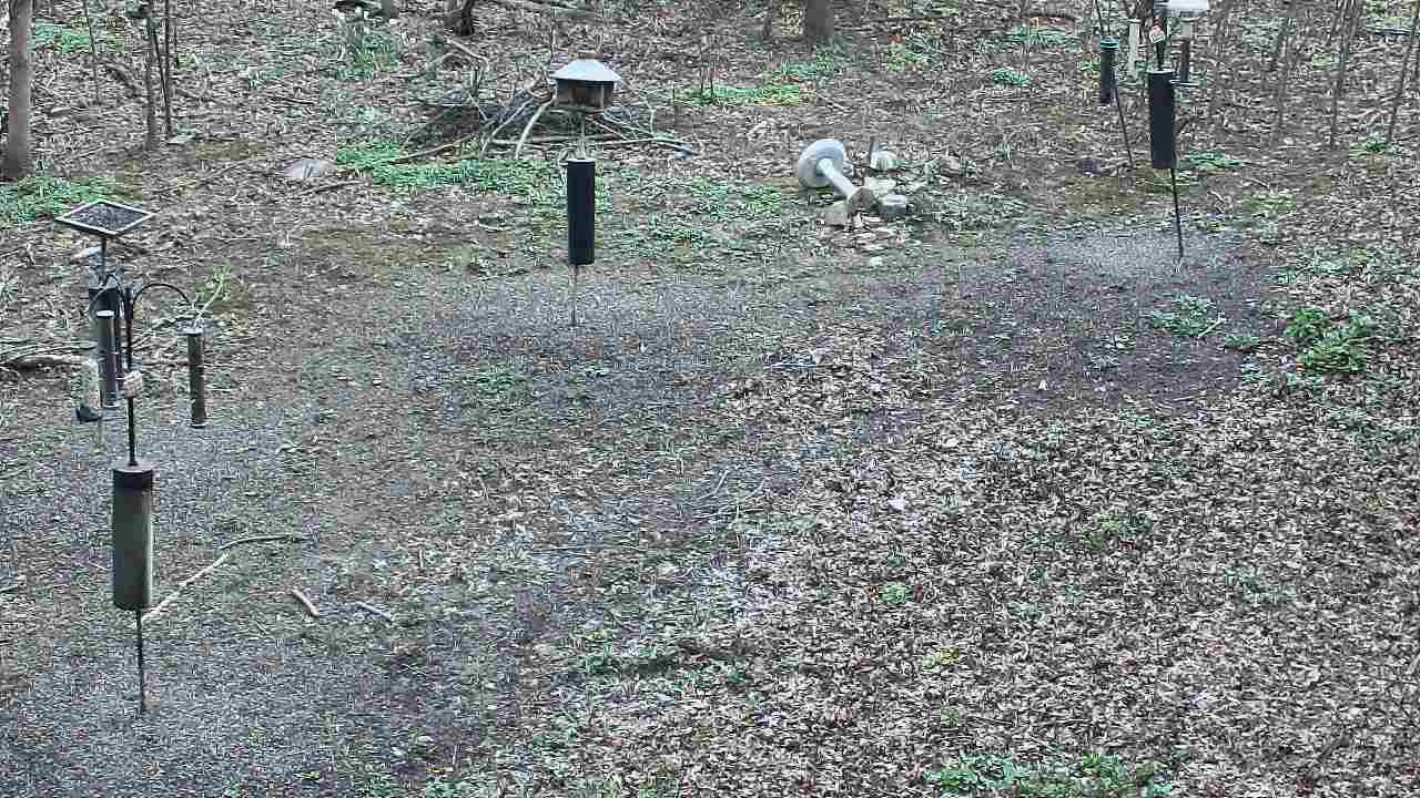 Thumbnail for current weather camera view from Cincinnati Nature Center in Batavia, Ohio