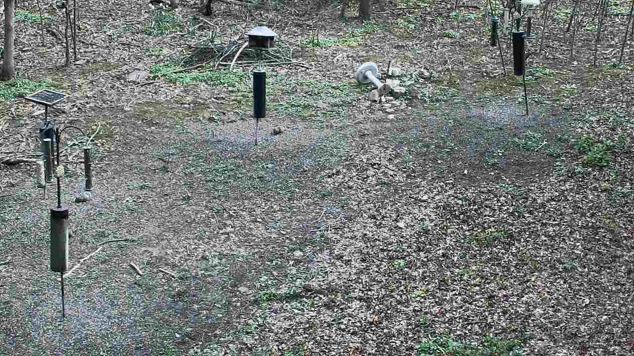 Thumbnail for current weather camera view from Cincinnati Nature Center in Batavia, Ohio