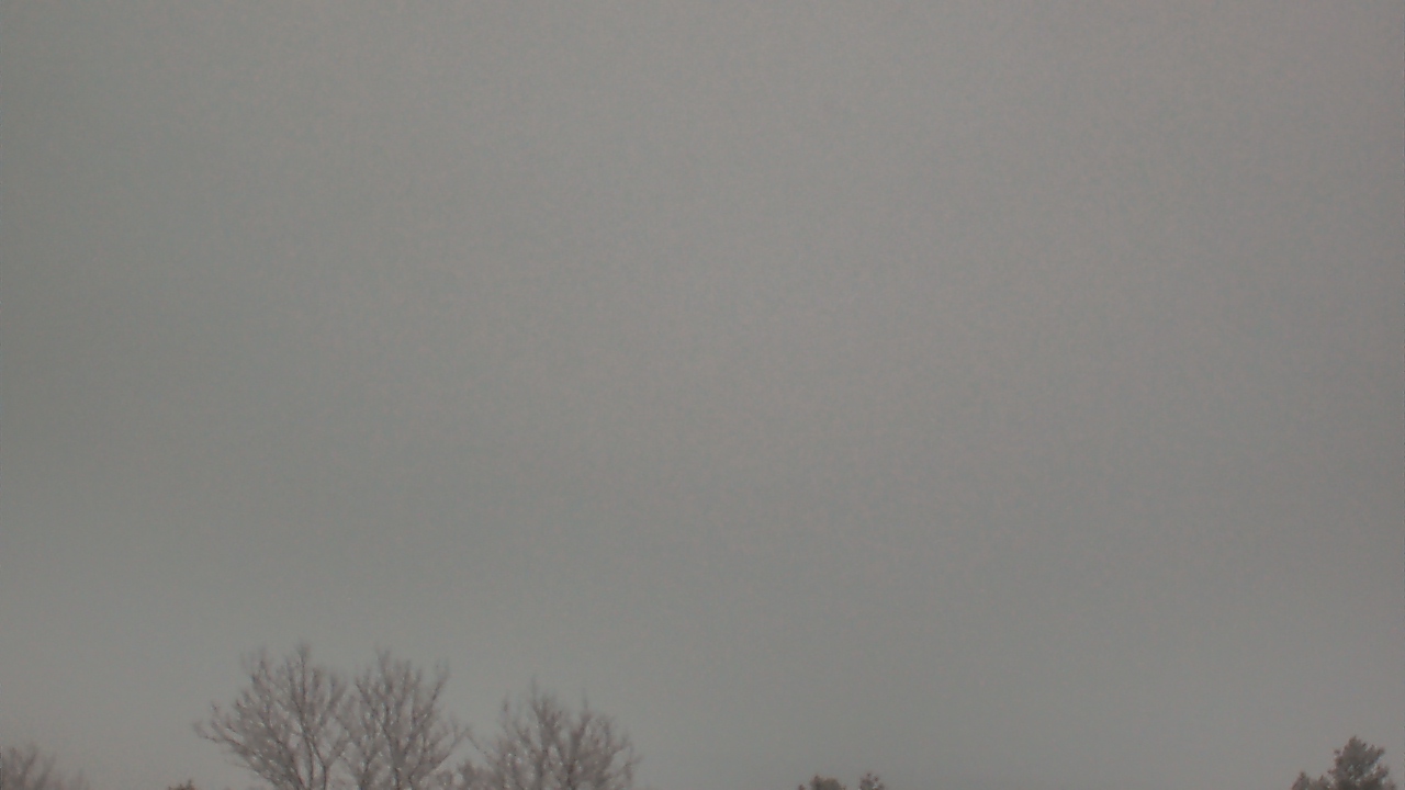 Thumbnail for current weather camera view from Blue Hill Obs & Sci Center in Milton, Massachusetts