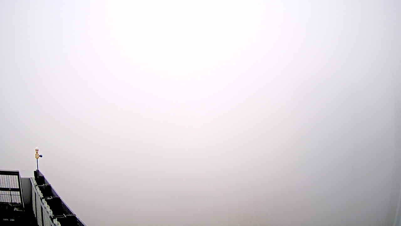 Thumbnail for current weather camera view from Marriott Marquis Houston in Houston, Texas