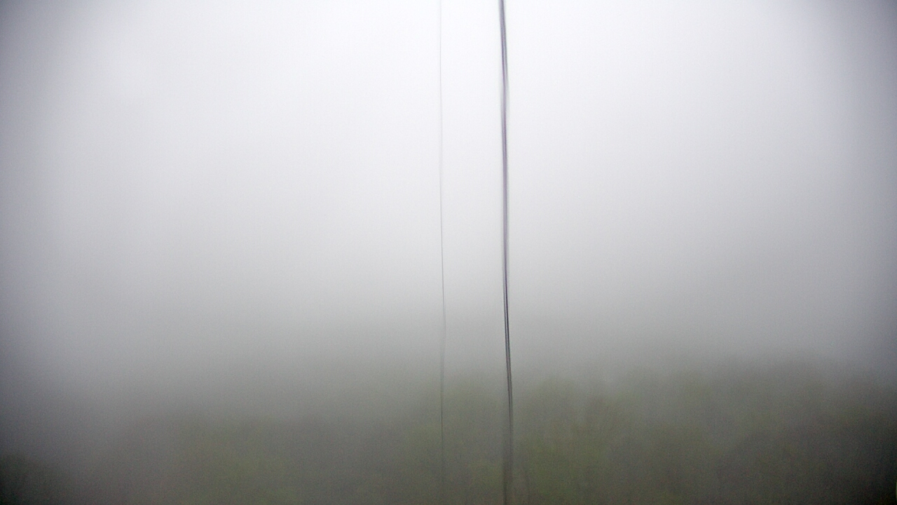 Thumbnail for current weather camera view from Cartwright Mountain in Mountainburg, Arkansas