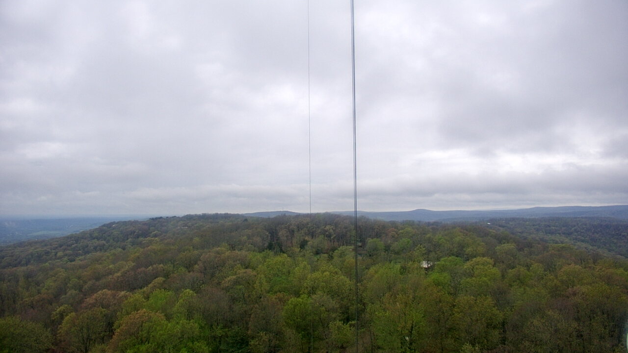 Thumbnail for current weather camera view from Cartwright Mountain in Mountainburg, Arkansas