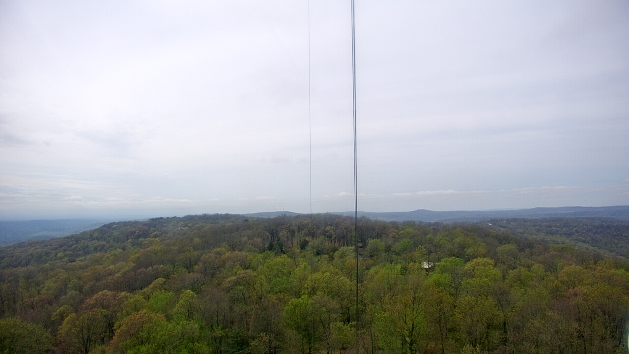 Thumbnail for current weather camera view from Cartwright Mountain in Mountainburg, Arkansas