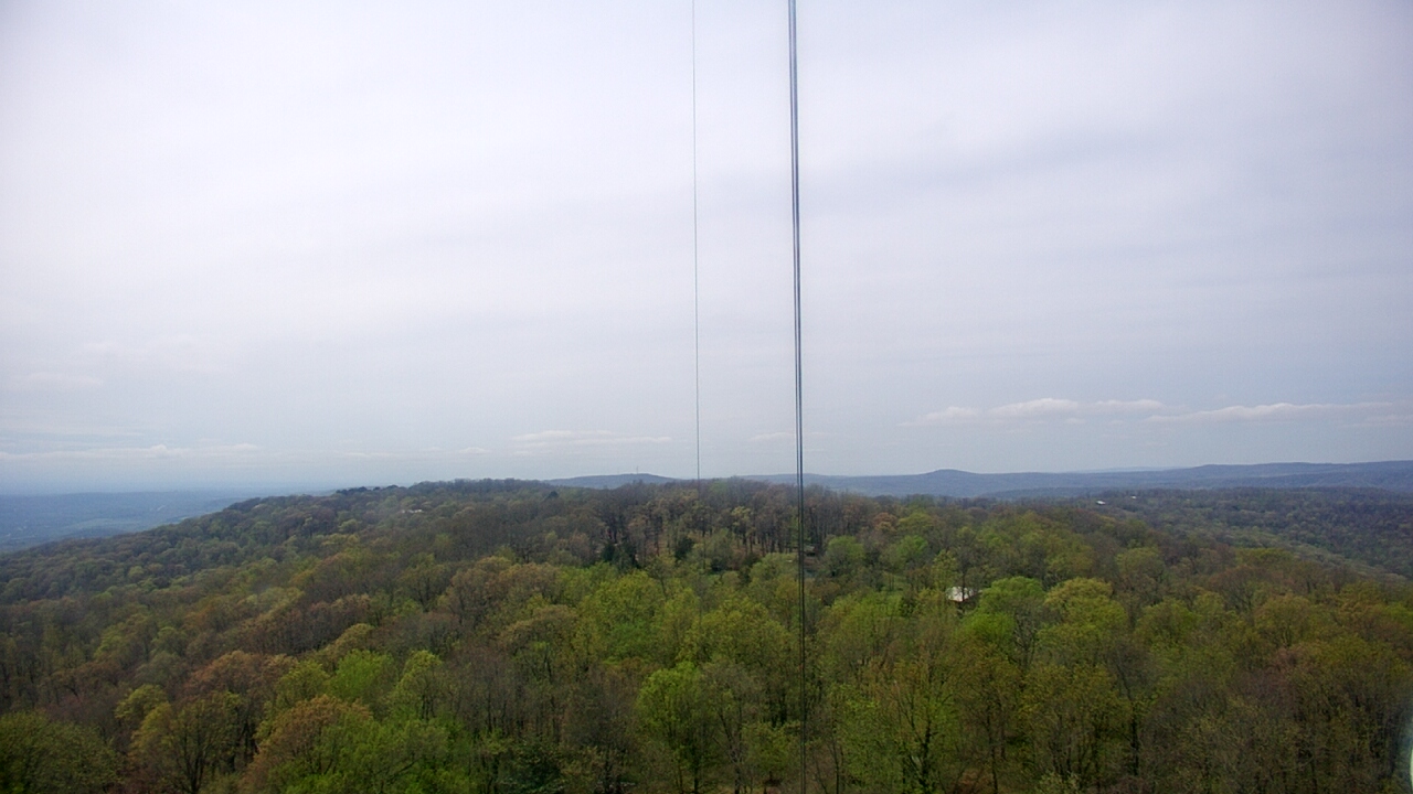 Thumbnail for current weather camera view from Cartwright Mountain in Mountainburg, Arkansas