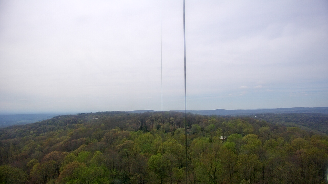 Thumbnail for current weather camera view from Cartwright Mountain in Mountainburg, Arkansas