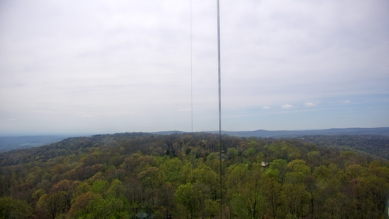 Thumbnail for current weather camera view from Cartwright Mountain in Mountainburg, Arkansas