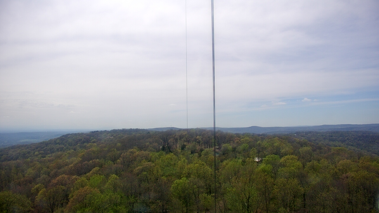 Thumbnail for current weather camera view from Cartwright Mountain in Mountainburg, Arkansas