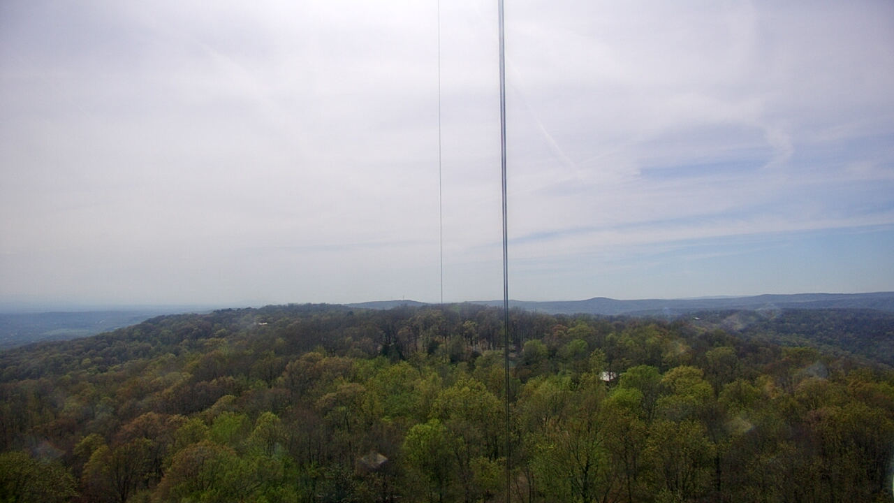 Thumbnail for current weather camera view from Cartwright Mountain in Mountainburg, Arkansas