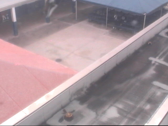 Thumbnail for current weather camera view from Miramar HS in Miramar, Florida