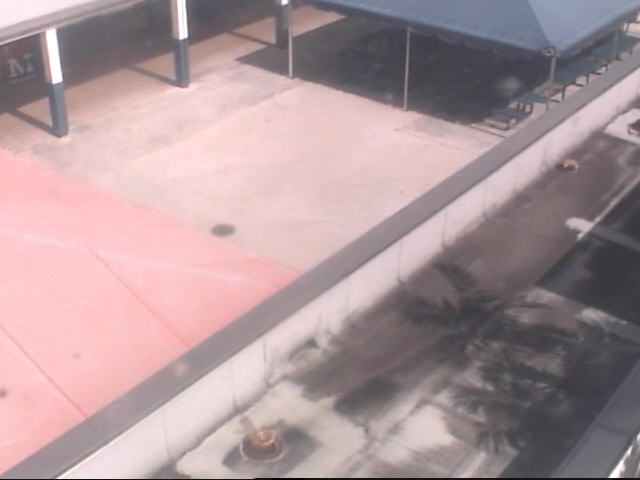 Thumbnail for current weather camera view from Miramar HS in Miramar, Florida