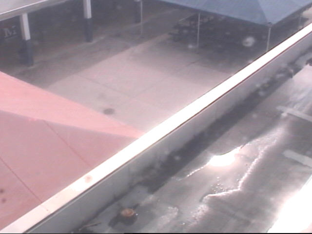 Thumbnail for current weather camera view from Miramar HS in Miramar, Florida