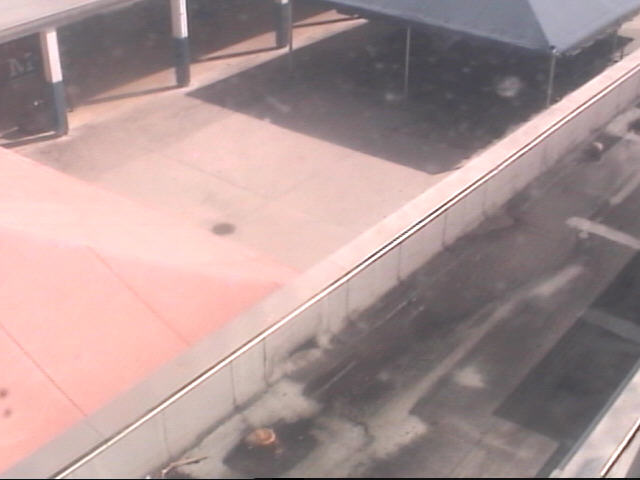 Thumbnail for current weather camera view from Miramar HS in Miramar, Florida