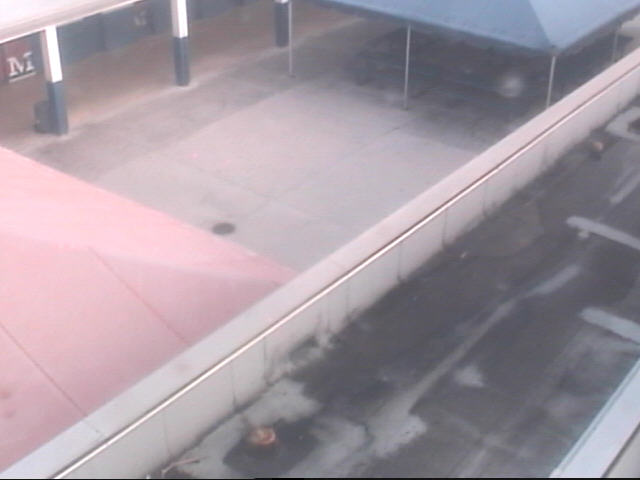 Thumbnail for current weather camera view from Miramar HS in Miramar, Florida