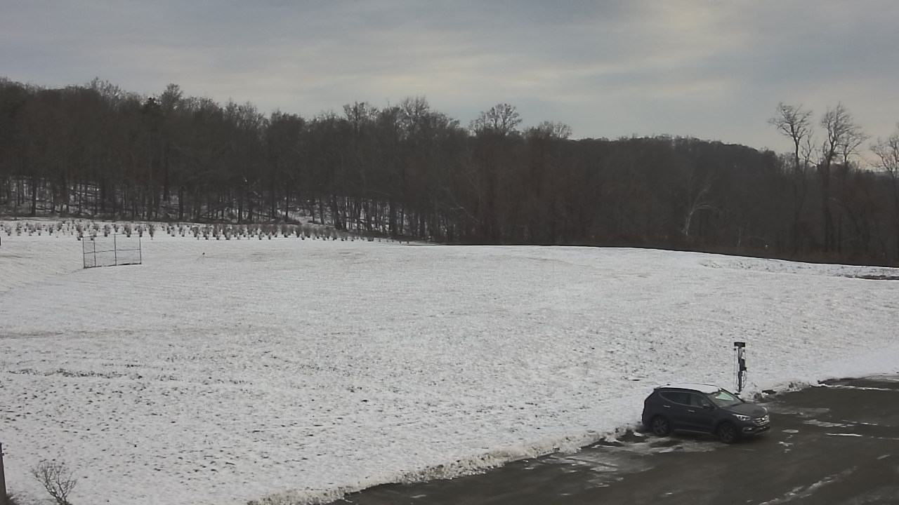 Thumbnail for current weather camera view from Marvelwood School in Kent, Connecticut