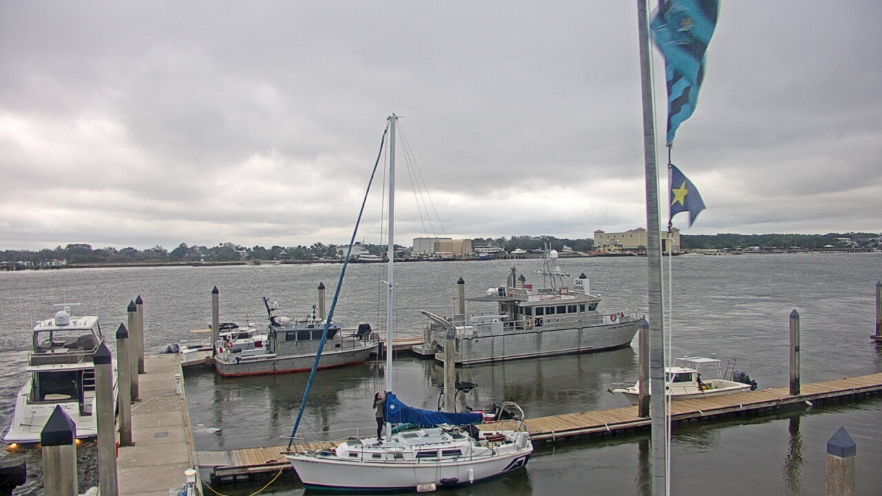 Thumbnail for current weather camera view from Morning Star Marina in Jacksonville, Florida