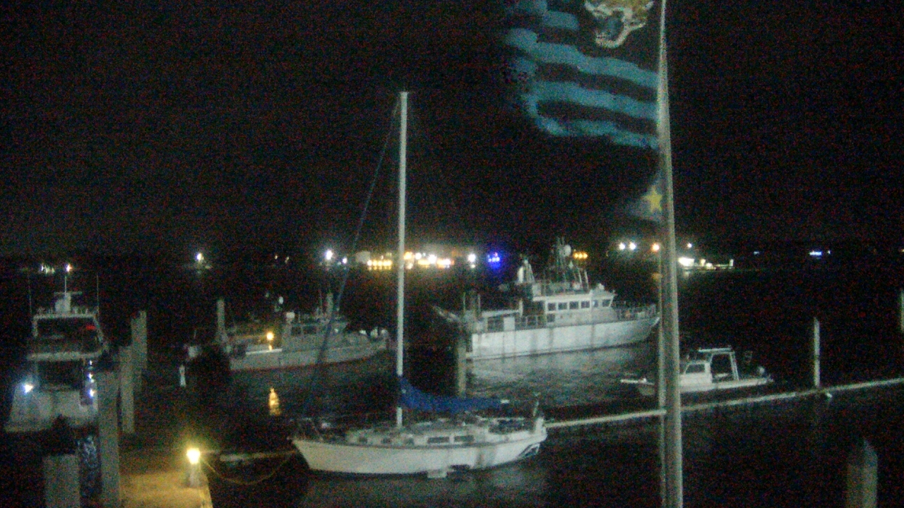 Thumbnail for current weather camera view from Morning Star Marina in Jacksonville, Florida