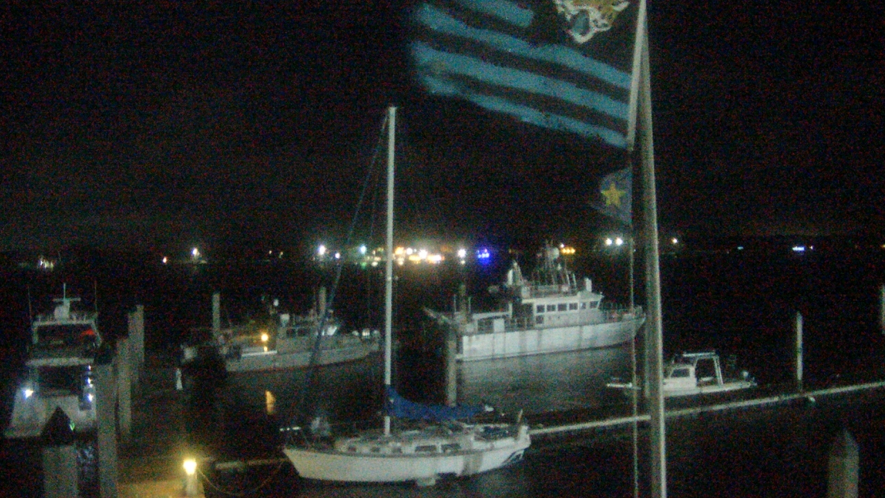 Thumbnail for current weather camera view from Morning Star Marina in Jacksonville, Florida