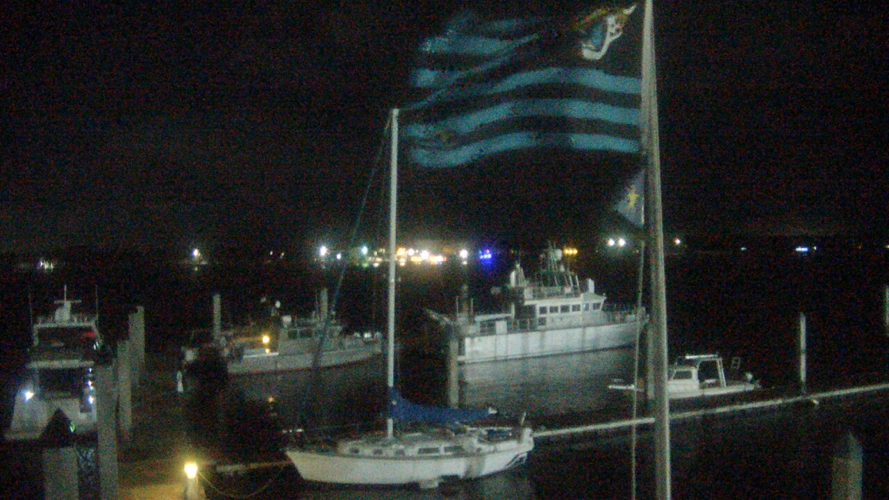 Thumbnail for current weather camera view from Morning Star Marina in Jacksonville, Florida