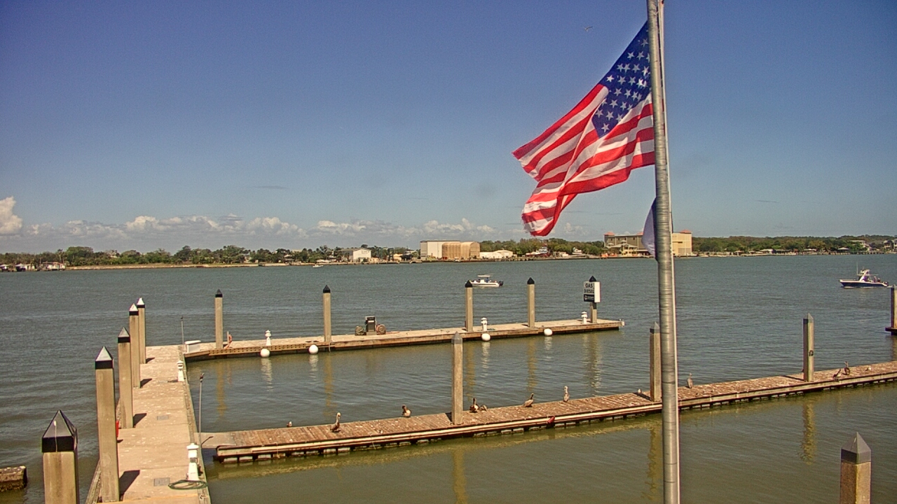 Thumbnail for current weather camera view from Morning Star Marina in Jacksonville, Florida