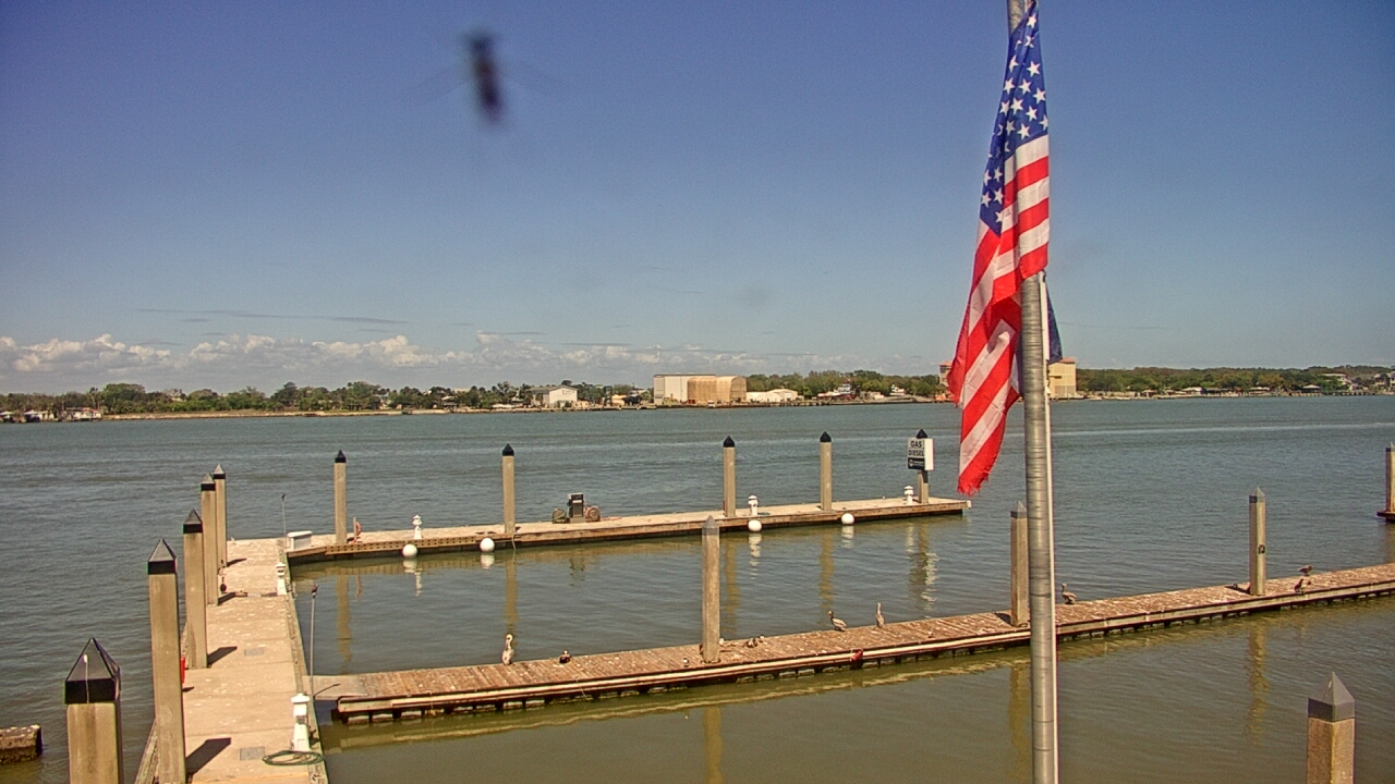 Thumbnail for current weather camera view from Morning Star Marina in Jacksonville, Florida
