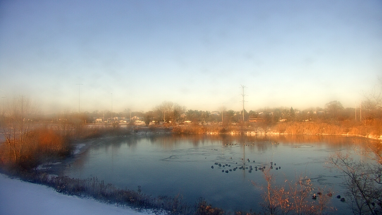 Thumbnail for current weather camera view from Colin Powell MS in Matteson, Illinois