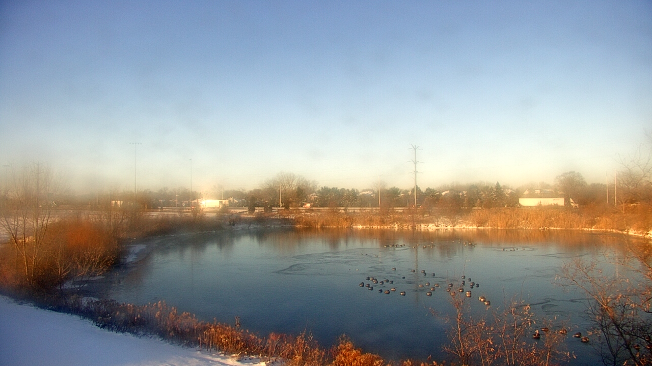 Thumbnail for current weather camera view from Colin Powell MS in Matteson, Illinois
