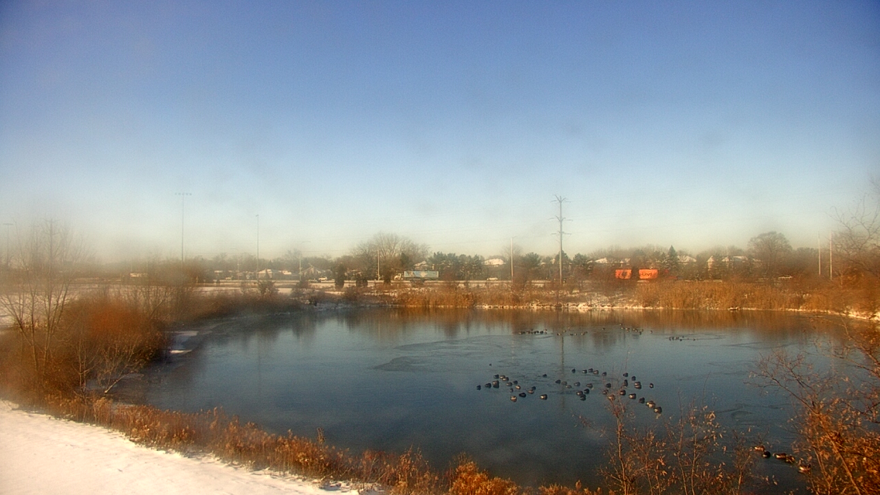 Thumbnail for current weather camera view from Colin Powell MS in Matteson, Illinois