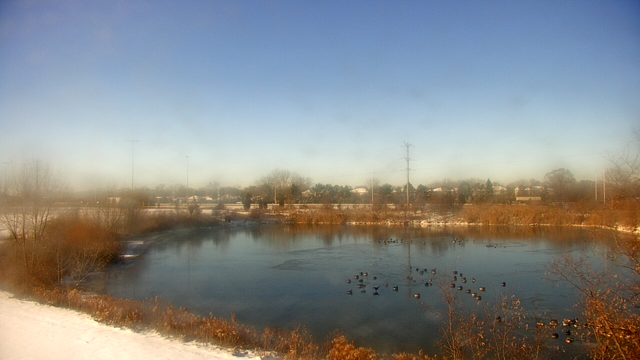 Thumbnail for current weather camera view from Colin Powell MS in Matteson, Illinois