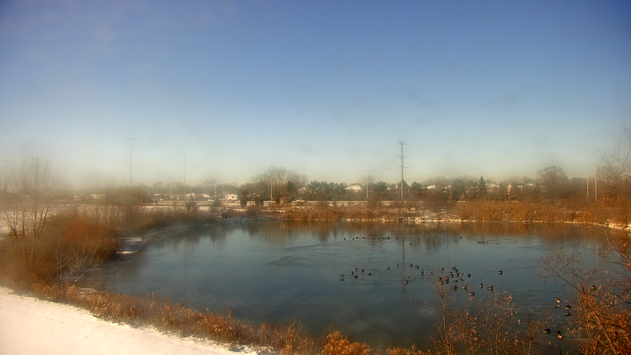 Thumbnail for current weather camera view from Colin Powell MS in Matteson, Illinois