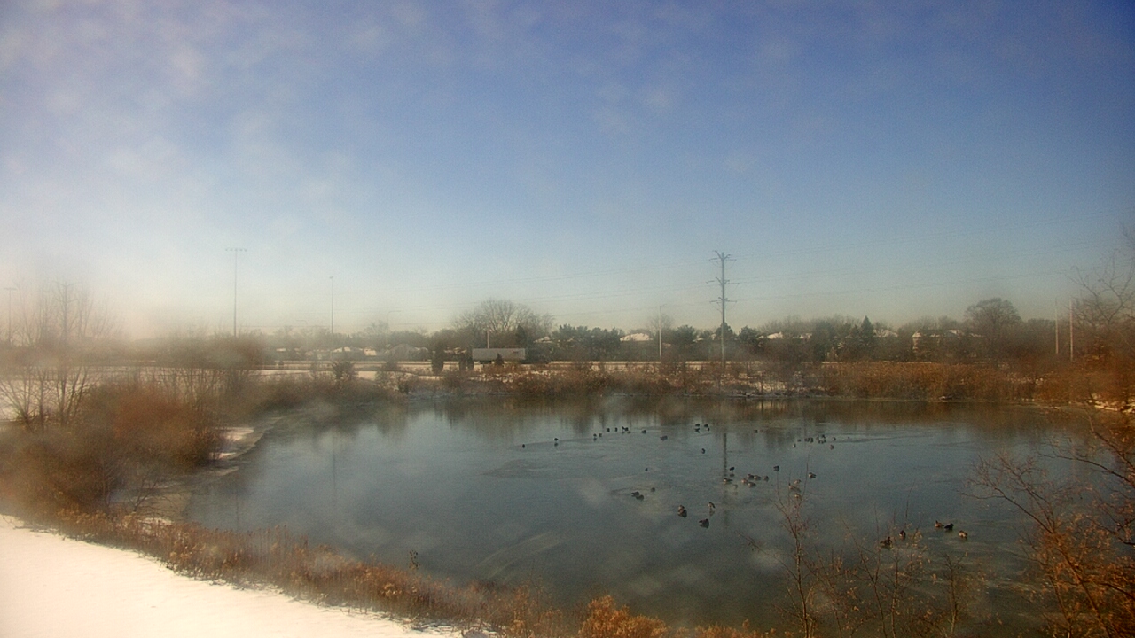 Thumbnail for current weather camera view from Colin Powell MS in Matteson, Illinois