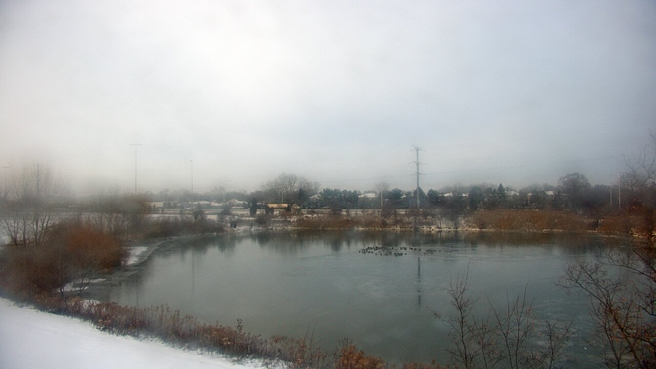 Thumbnail for current weather camera view from Colin Powell MS in Matteson, Illinois