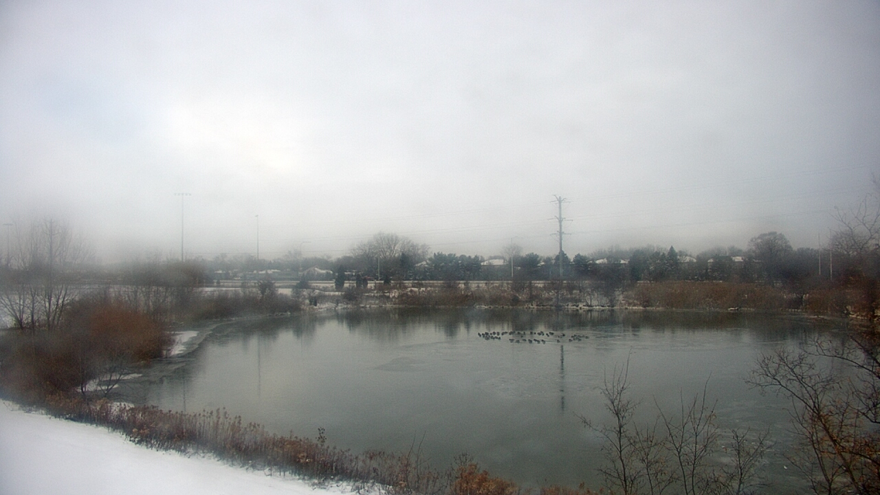 Thumbnail for current weather camera view from Colin Powell MS in Matteson, Illinois