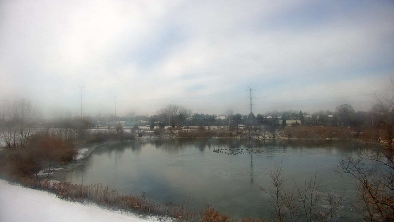 Thumbnail for current weather camera view from Colin Powell MS in Matteson, Illinois