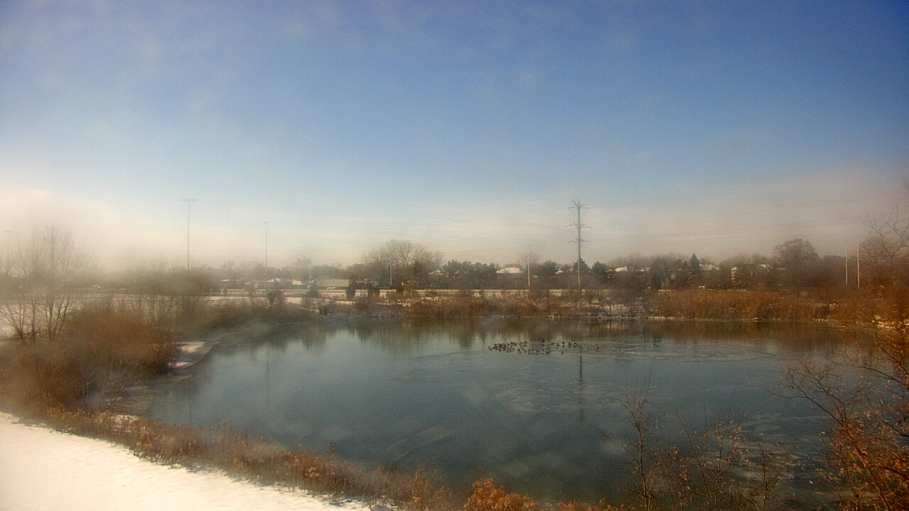 Thumbnail for current weather camera view from Colin Powell MS in Matteson, Illinois